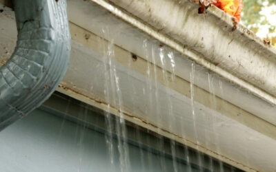 5 Critical Gutter Maintenance Tips to Protect Your Northern Kentucky Home from Foundation Damage…